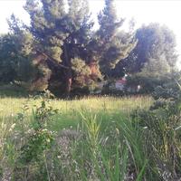 Земельный участок в Греции, Центральная Македония, Центр