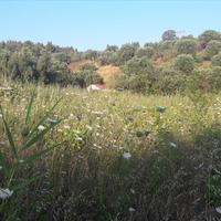 Земельный участок в Греции, Центральная Македония, Центр