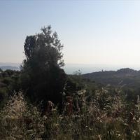 Land plot in Greece, Central Macedonia, Center