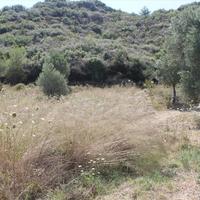 Земельный участок в Греции, Центральная Македония, Центр