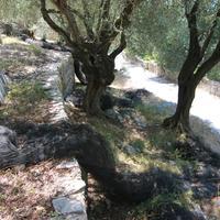 Land plot in Greece, Ionian Islands