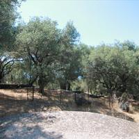 Земельный участок в Греции, Ионические острова