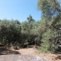 Земельный участок в Греции, Ионические острова