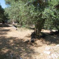 Земельный участок в Греции, Ионические острова