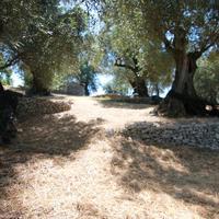 Земельный участок в Греции, Ионические острова