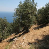 Земельный участок в Греции, Ионические острова, 6915 кв.м.