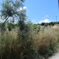 Земельный участок в Греции, Крит