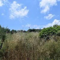 Земельный участок в Греции, Крит