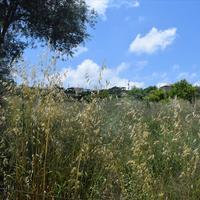 Земельный участок в Греции, Крит