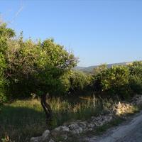 Land plot in Greece, Crete