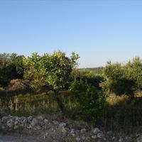 Land plot in Greece, Crete