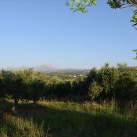 Land plot in Greece, Crete