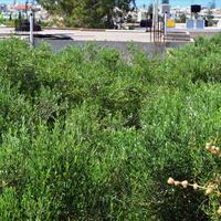 Land plot in Greece, Crete