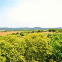 Отель (гостиница) в Греции, Центральная Македония, Центр, 900 кв.м.