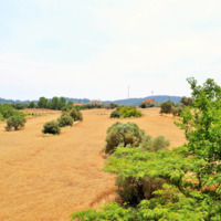 Отель (гостиница) в Греции, Центральная Македония, Центр, 900 кв.м.