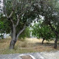 Другое в Греции, Аттика, Афины, 47 кв.м.