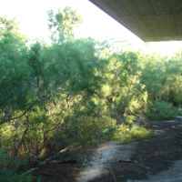 Land plot in Greece, Attica, Athens