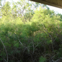 Land plot in Greece, Attica, Athens