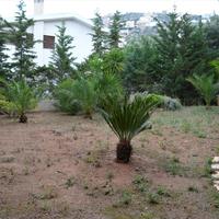 Квартира в Греции, Аттика, Афины, 96 кв.м.