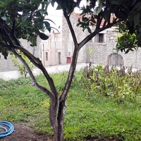 Other in Greece, Crete, 80 sq.m.