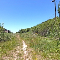 Земельный участок в Греции, Ионические острова, 2000 кв.м.