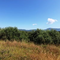 Land plot in Greece, Ionian Islands, 5996 sq.m.