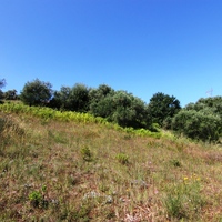 Land plot in Greece, Ionian Islands, 5996 sq.m.