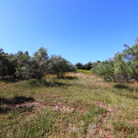 Land plot in Greece, Ionian Islands, 5996 sq.m.