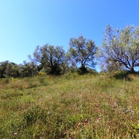 Land plot in Greece, Ionian Islands, 5996 sq.m.
