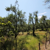 Земельный участок в Греции, Ионические острова, 2000 кв.м.