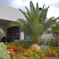 Villa in Greece, Peloponnese, Kori, 376 sq.m.