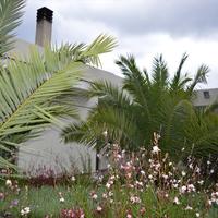 Villa in Greece, Peloponnese, Kori, 376 sq.m.