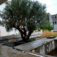 Вилла в Греции, Аттика, Афины, 360 кв.м.