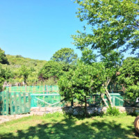 Other in Greece, Dode, 140 sq.m.