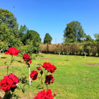 Other in Greece, Dode, 140 sq.m.