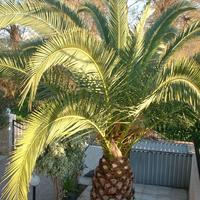 Другое в Греции, Крит, Ханья, 200 кв.м.