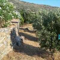 Таунхаус в Греции, 182 кв.м.