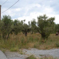 Land plot in Greece, Central Macedonia, Center