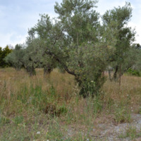 Land plot in Greece, Central Macedonia, Center