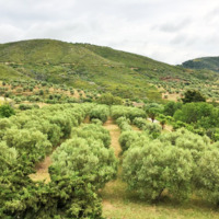 Вилла в Греции, Центральная Македония, Центр, 200 кв.м.