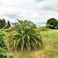 Вилла в Греции, Центральная Македония, Центр, 200 кв.м.