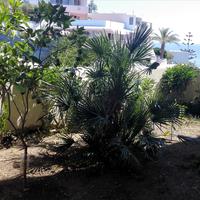 Таунхаус в Греции, Крит, 130 кв.м.