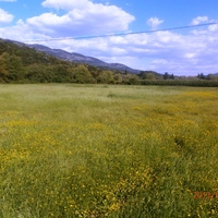 Land plot in Greece, Epirus, 23000 sq.m.