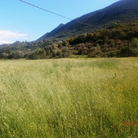Land plot in Greece, Epirus, 23000 sq.m.
