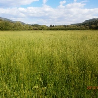 Земельный участок в Греции, Эпир, 23000 кв.м.