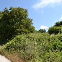 Земельный участок в Греции, Ионические острова, 2752 кв.м.