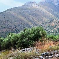 Земельный участок в Греции, Крит