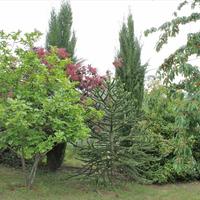 Другое в Греции, Центральная Македония, Центр, 160 кв.м.