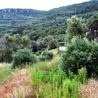 Земельный участок в Греции, Ионические острова, 4170 кв.м.