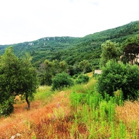 Земельный участок в Греции, Ионические острова, 4170 кв.м.